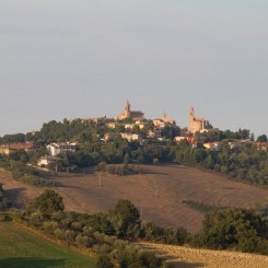 Tenuta Tredici Ulivi