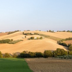 Tenuta Tredici Ulivi