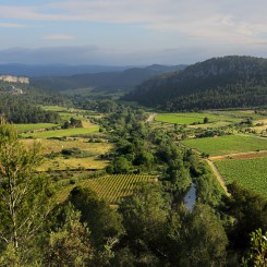 Camping de L'Olivigne