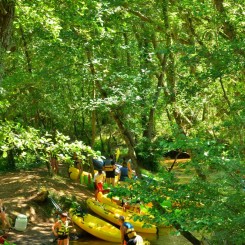 Camping La Clairière