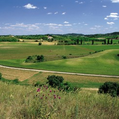 Agriturismo Le Sorgive e Le Volpi