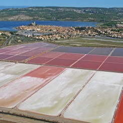 Camping de L'Olivigne